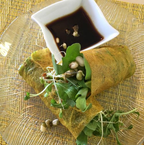spring rolls  at Beauty of Sprouts in Sarasota