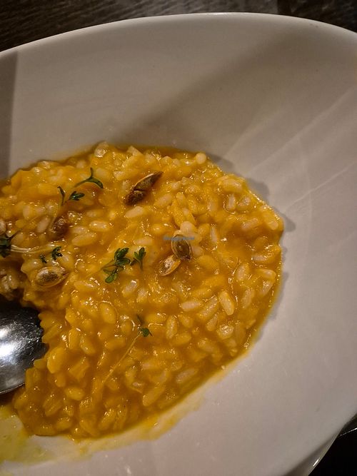 Butternut-Risotto at Salteriet in Senjahopen
