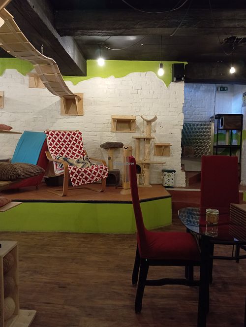  at Kitt&Café Toulavý Ráj in Kromeriz