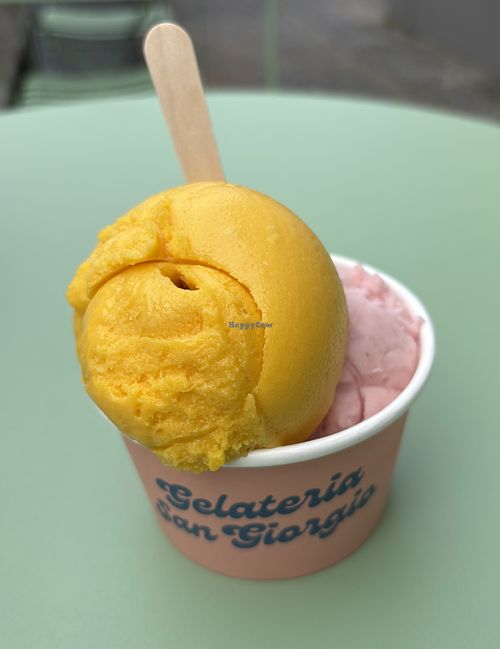 Sorbets: Passion fruit and mango & White cherry and thyme   at Gelateria Bar San Giorgio in Madeira