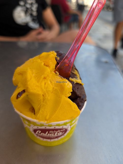 Vegan Chocolate ice-cream and vegan mango at Heladería Lobato in Coin