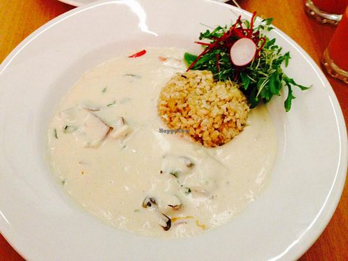 Stroganoff at 222 Vegan Cuisine in West London