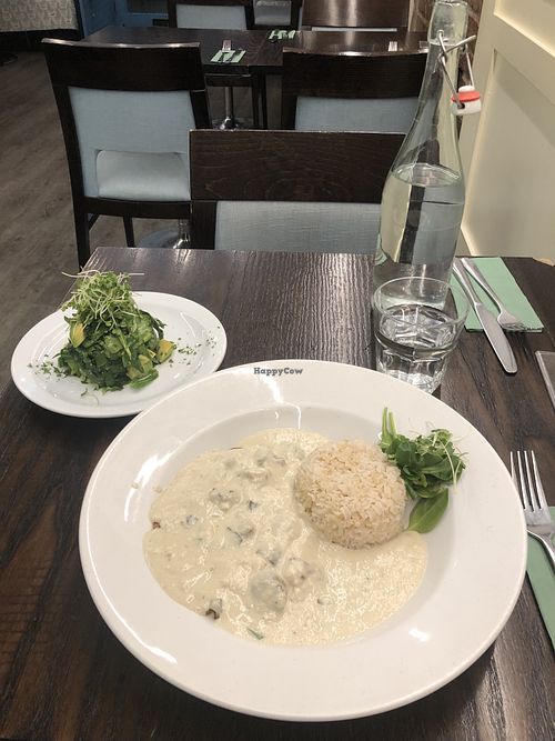 Seitan stroganoff with avocado salad   at 222 Vegan Cuisine in West London