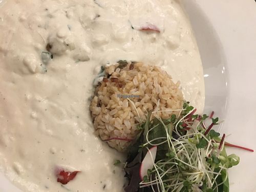 stroganoff   at 222 Vegan Cuisine in West London