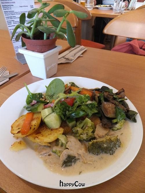 Excellent seitan stroganoff and fresh vegetables! at 222 Vegan Cuisine in West London