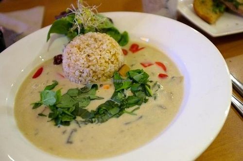 Seitan Stroganoff. at 222 Vegan Cuisine in West London