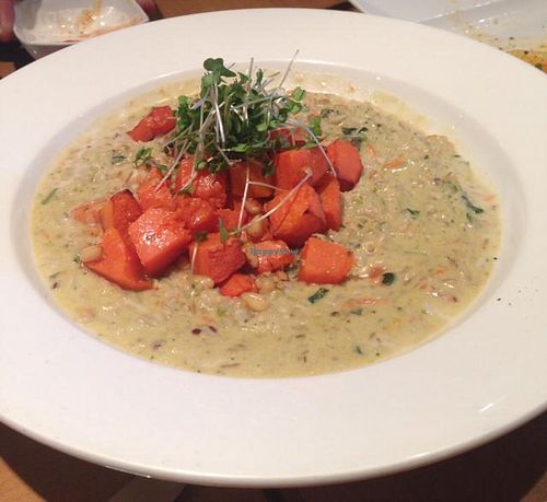 risotto vegan at 222 Vegan Cuisine in West London