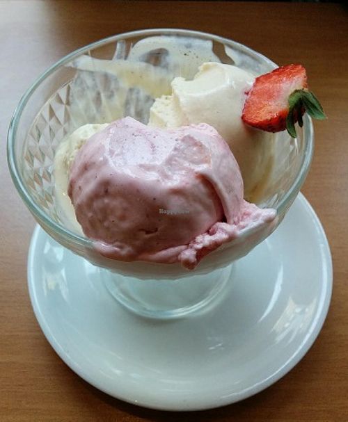 Yummy Vanilla and Raspberry Icecream! at 222 Vegan Cuisine in West London
