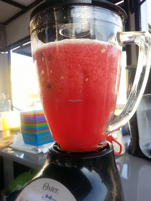 Watermelon aguas frescas! at La Oveja Verde in Monterrey