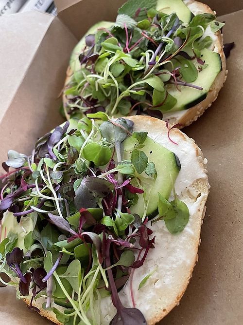 Sesame bags with vegan cream cheese, cucumbers, sprouts   at Bo's Bagels & Coffee in Huntington Beach