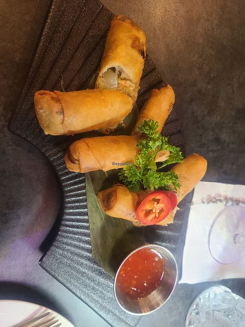 Vegan vegetable spring rolls at Thai Food Near Me in New York City