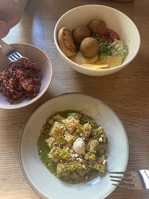 Daily vegan menu  at Rogovilka in Ljubljana