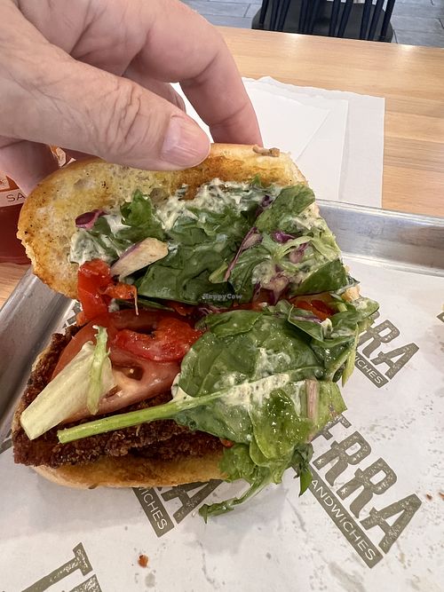 Eggplant Schnitzel   at Terra Craft Sandwiches in Melbourne