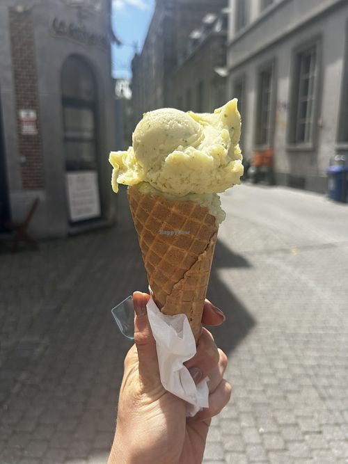 Oriental orange with almond milk and spices + cucumber & mint + vegan cone  at Glace Mania in Namur