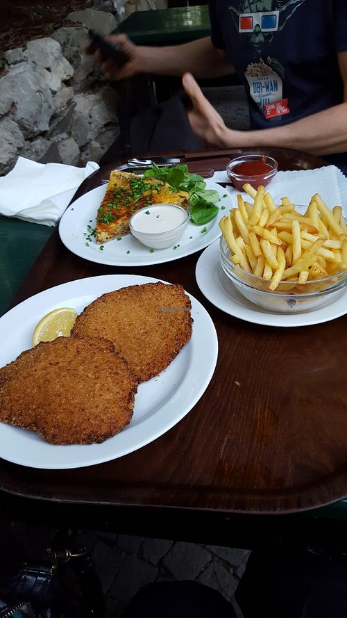 vegan schnitzel and quiche at Weingut Feuerwehr Wagner in Vienna