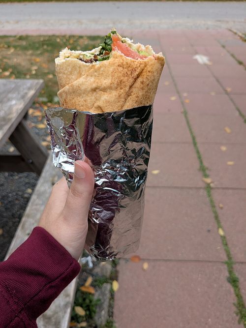  at PITA COAST in Bar Harbor