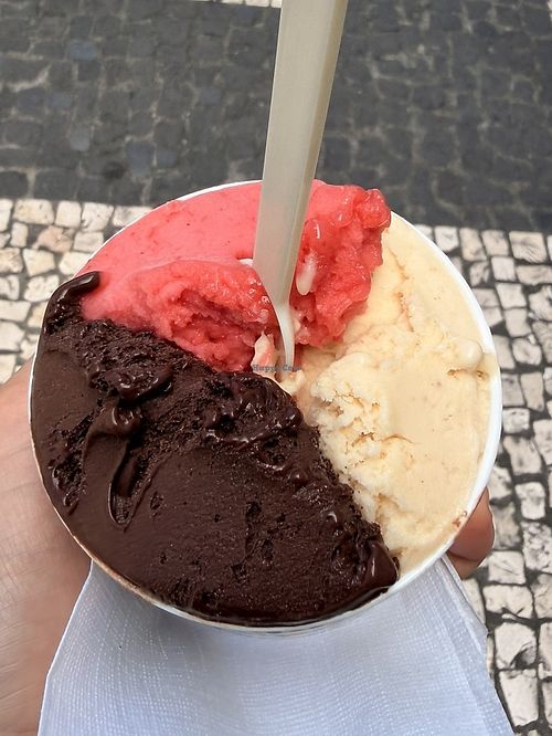 clearly labeled menu; staff was super helpful and friendly. all the flavors were delightful, but i highly recommend the dark chocolate!  at Abracadabra Gelato in Sao Miguel