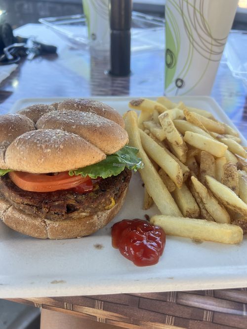 Black bean burger  at Beach Bums Bar & Grill at Roundhill Pines Beach Resort in Nevada