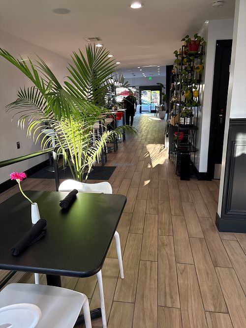 Vegan pizza and gelato!  at Hot Italian in San Rafael