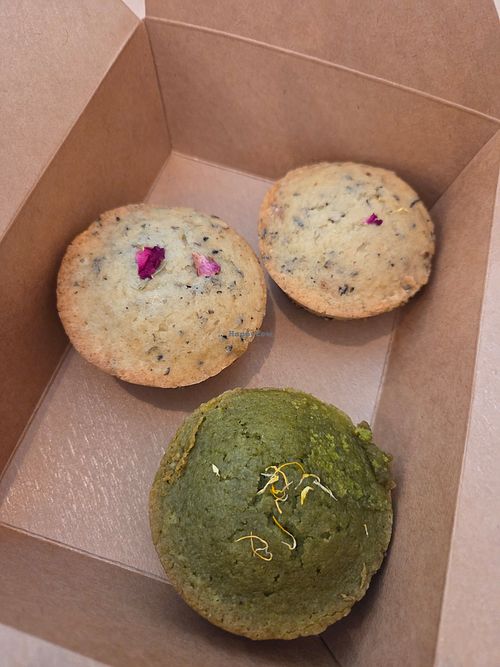  at Lekker Coffee and Baking Co in Palmer