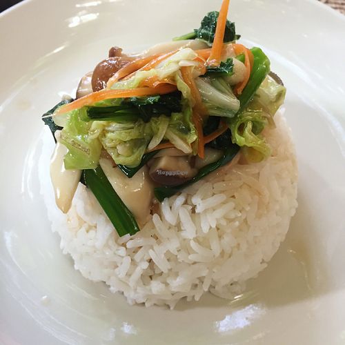 rice with vegetables  at Green Tiger House in Chiang Mai