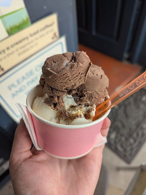 Vegan honeycomb and chocolate ice cream at Cottage Cream ‘n’ Candy in Wales