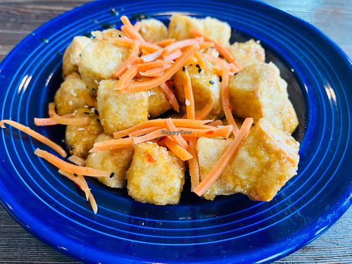  at Mason's Brewing Company Downeast in Maine