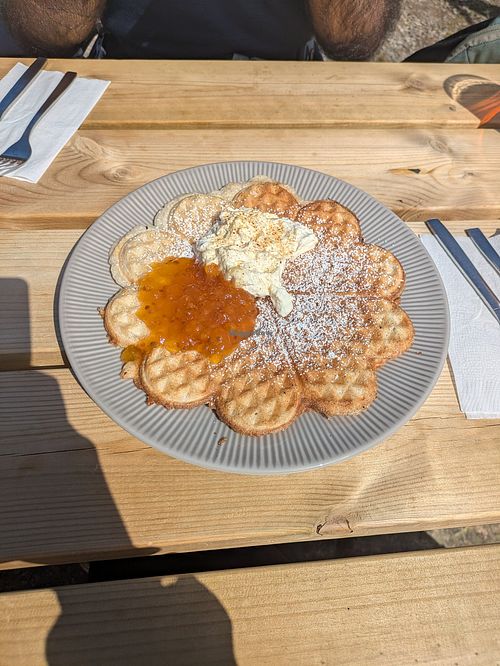 Vegan waffle at Friluftsbyn Toppstuga in Docksta