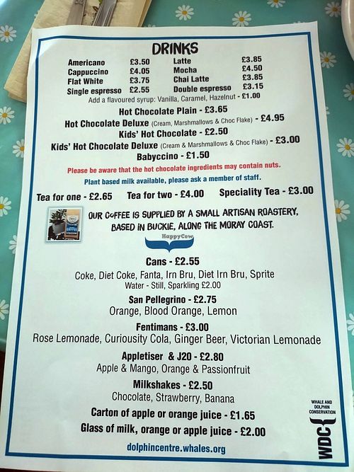  at WDC Scottish Dolphin Centre in Scotland