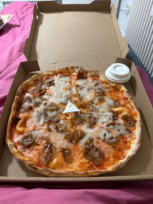 Vegane Saitan Döner Pizza  at Heidelberger Kebap Fakultät in Heidelberg