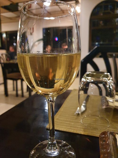 Wine at Fusion in Gran Canaria