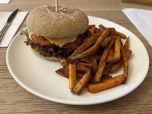 Vegan burger with vegetable chips  at Pizzeria Olivo in Středočeský Kraj
