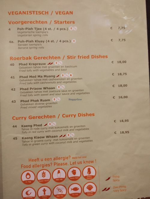 First page of the menu is all their vegan options at Krua Buppha in Amsterdam