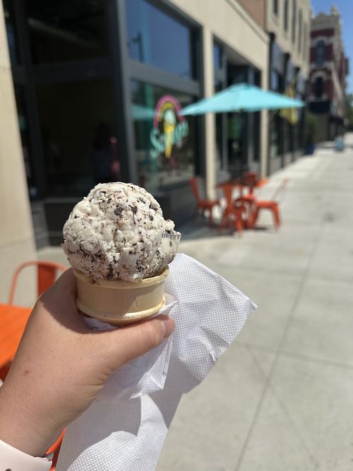 Vegan vanilla chocolate chipp  at Sandusky Scoops in Sandusky