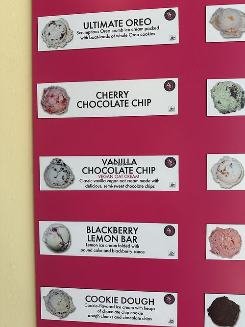 Vegan flavor optionns  at Sandusky Scoops in Sandusky
