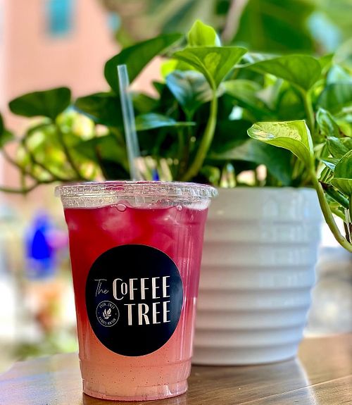 Fresh Lemonade  at The Coffee Tree in Lancaster