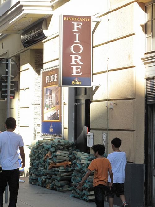 Fiore's firewood supply at Ristorante Fiore in Vienna