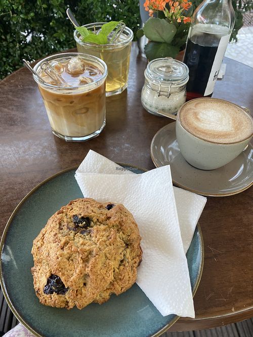 vegan blueberry scone and coffee with oat milk  at Oliv'chen Kaffeehaus in Berlin