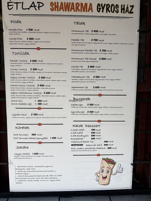 Falafel pita, falafel tortilla, hummus plate, falafel plate, hummus and falafel plate, fries, sauces  at Shawarma Gyros Ház in Budapest