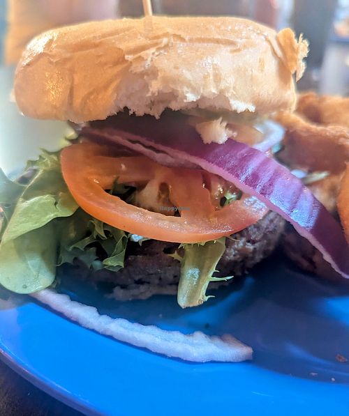 Beyond Burger at Armadillo Ranch in Manitou Springs