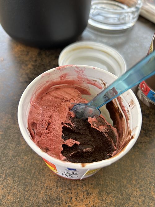 Dark chocolate and Blueberryy  at Eiscafe la Gondola in Goerlitz