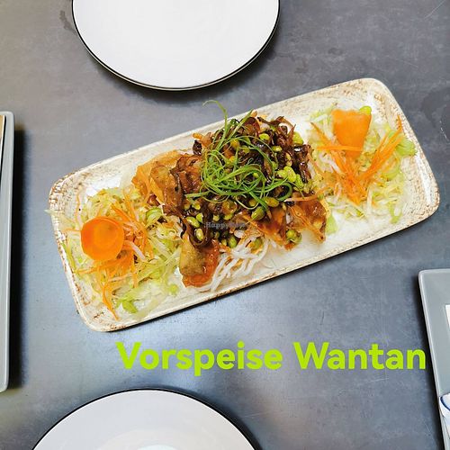 Starter: Wantan at Vevi - Kaiserstrasse in Vienna