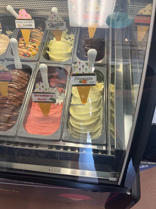 Vegan Options Clearly Labeled - I didn't notice the Peanut Butter on the other side until later so it's not in the shot.  at Pompelmo Gelato in Westerly