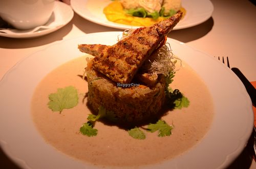 Spicy Tofu, Vegetables and Quinoa with Peanut Sauce at Vegan Restoran V in Tallinn