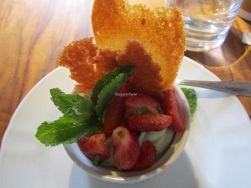 avocado-coconut pudding at Vegan Restoran V in Tallinn