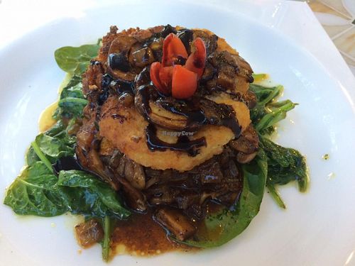 Pan seared grits cakes with mushroom gravy at Creme de la Creme in West Palm Beach
