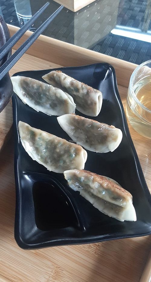 Vegetable gyoza/dumplings at Takesan Miso Ramen - River Garden in Ulaanbaatar