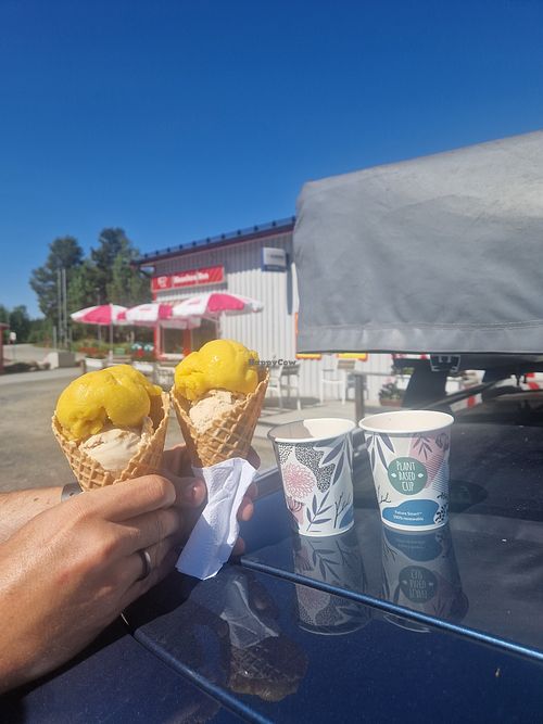  at Qstar in östergötlands Län