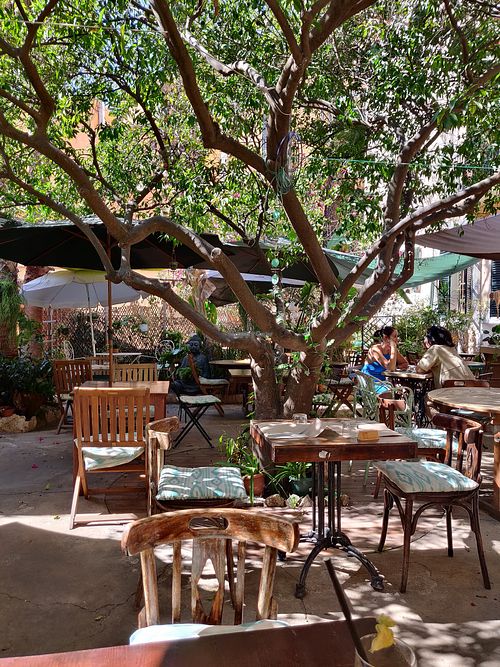 Garden at Temple Natura in Mallorca