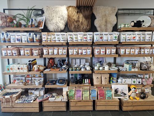 Selection of teas at Tea Studio in Mallaig